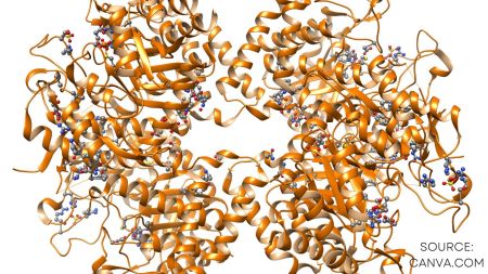 Návrh pro web  (16)