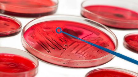 Návrh pro web  (17)