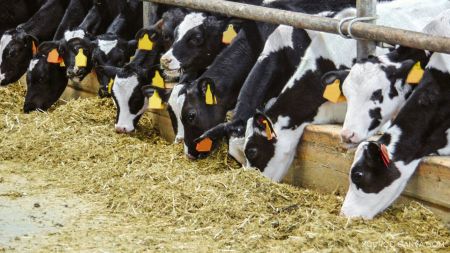 Návrh pro web  (11)