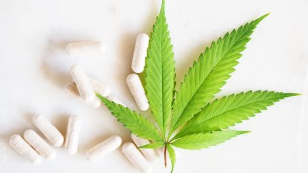 Návrh pro web  (19)