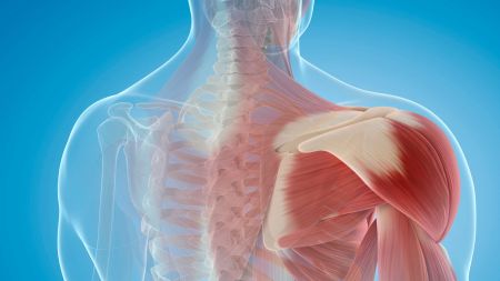 Návrh pro web  (21)